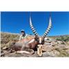 Image 1 : 5-Day South Africa Plains Game Safari for Two