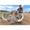 Image 2 : 5-Day South Africa Plains Game Safari for Two