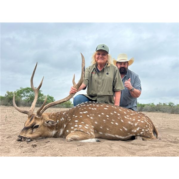 4-Day South Texas Trophy Axis Hunt for Two