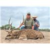 Image 1 : 4-Day South Texas Trophy Axis Hunt for Two