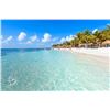 Image 3 : 4-Night Private Tulum Villa Getaway for Eight