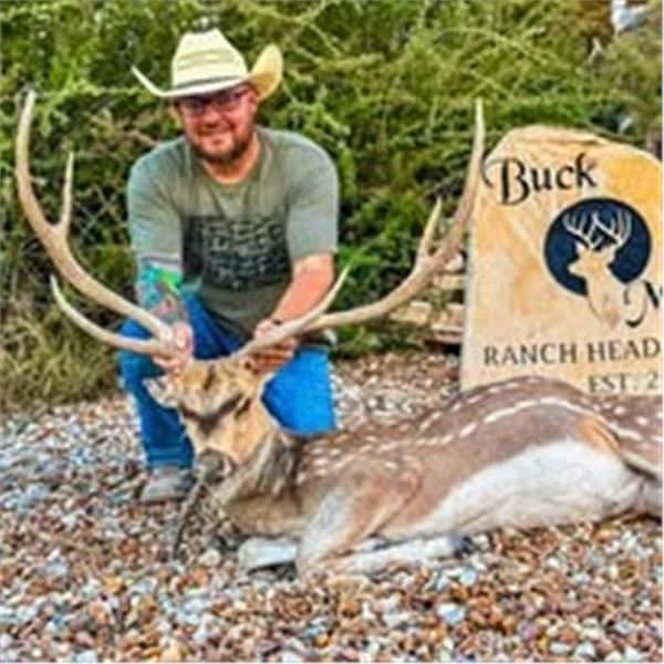 Choice of Axis or Fallow Hunt at Buck Moon on the Pecos