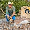 Image 1 : Choice of Axis or Fallow Hunt at Buck Moon on the Pecos