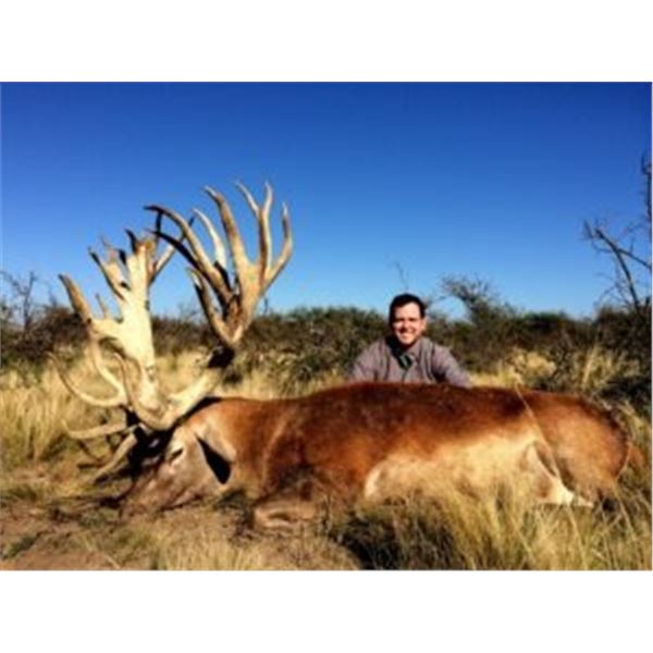 Red Stag Hunt in Argentina for 7 Days During the Roar!