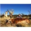 Image 1 : Red Stag Hunt in Argentina for 7 Days During the Roar!