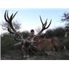 Image 3 : Red Stag Hunt in Argentina for 7 Days During the Roar!