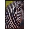 Image 1 : "Stallion" Giclee by Renowned Wildlife Artist John Banovich