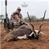 Image 2 : Texas Hill Country Blackbuck Antelope Hunt at Iron Game Ranch