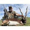 Image 3 : Texas Hill Country Blackbuck Antelope Hunt at Iron Game Ranch