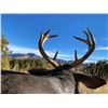 Image 10 : Coues Deer Hunt for 5 Days in Sonora, Mexico