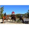 Image 12 : Coues Deer Hunt for 5 Days in Sonora, Mexico