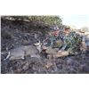 Image 1 : Coues Deer Hunt for 5 Days in Sonora, Mexico