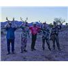 Image 7 : Coues Deer Hunt for 5 Days in Sonora, Mexico