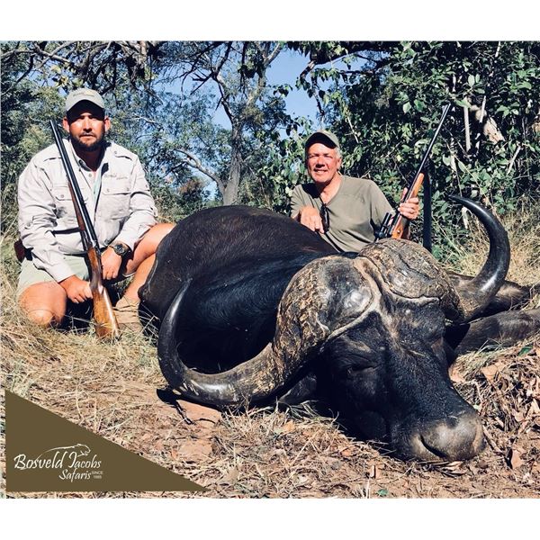 10 day Dangerous Game Safari Cape Buffalo Bull & Trophy Sable for 2 Hunters in South Africa!