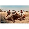 Image 6 : 10 day Dangerous Game Safari Cape Buffalo Bull & Trophy Sable for 2 Hunters in South Africa!