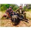 Image 8 : 10 day Dangerous Game Safari Cape Buffalo Bull & Trophy Sable for 2 Hunters in South Africa!