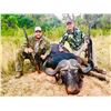Image 9 : 10 day Dangerous Game Safari Cape Buffalo Bull & Trophy Sable for 2 Hunters in South Africa!