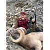 Image 1 : ROCKY MOUNTAIN BIGHORN SHEEP HUNT for 1 Hunter