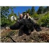 Image 1 : Black Bear Hunt for 1 Hunter & 1 Observer Vancouver Island, BC