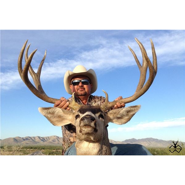 Sonora Mexico Trophy Mule Deer at Rancho El Bamury!