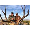 Image 3 : Sonora Mexico Trophy Mule Deer at Rancho El Bamury!