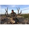 Image 4 : Sonora Mexico Trophy Mule Deer at Rancho El Bamury!