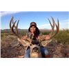 Image 5 : Sonora Mexico Trophy Mule Deer at Rancho El Bamury!