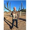 Image 6 : Sonora Mexico Trophy Mule Deer at Rancho El Bamury!
