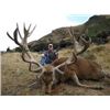 Image 2 : 5-Day Red Stag Hunt for Two Hunters in New Zealand Includes Trophy Fees for Two Red Stag up to 400[x