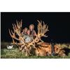 Image 3 : 5-Day Red Stag Hunt for Two Hunters in New Zealand Includes Trophy Fees for Two Red Stag up to 400[x