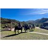 Image 2 : Pigeon Hunt for 6 People at Córdoba Mountain Lodge Argentina