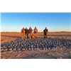 Image 3 : Pigeon Hunt for 6 People at Córdoba Mountain Lodge Argentina