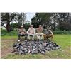 Image 5 : Pigeon Hunt for 6 People at Córdoba Mountain Lodge Argentina
