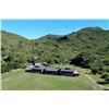 Image 6 : Pigeon Hunt for 6 People at Córdoba Mountain Lodge Argentina