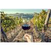 Image 2 : Tuscany for 2 People 6 Nights in the Heart of Italy!
