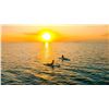 Image 2 : Private Island Escape in Belize for 2 People