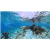 Image 4 : Private Island Escape in Belize for 2 People