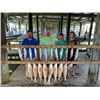 Image 2 : BLAST & CAST for 4 Hunters with EMPIRE LODGE of PORT O’CONNOR