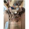 Image 8 : Chains, Hooks, and Load Binders