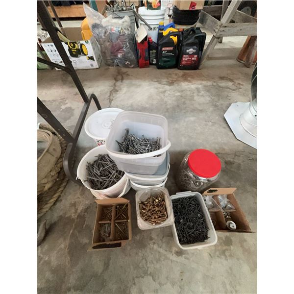 Hardware Screws and Nails Lot