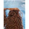 Image 2 : Vintage Wooly Leather Chaps with Shearling Fringe
