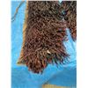 Image 4 : Vintage Wooly Leather Chaps with Shearling Fringe