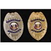Image 1 : 2 METAL SECURITY OFFICER BADGES.  ONE SILVER COLOR
