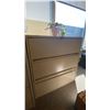 Image 2 : 2 BEIGE FILING CABINETS