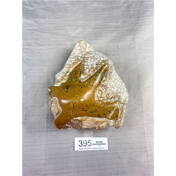 Pet Raster Star Fish Fossil From The Ordovician Period Found in Morocco 450 Million Years Old
