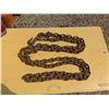 Image 1 : 3/8" logging chain, 14'