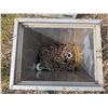 Image 2 : aluminum box full of chain pieces and parts, (12x9x15"