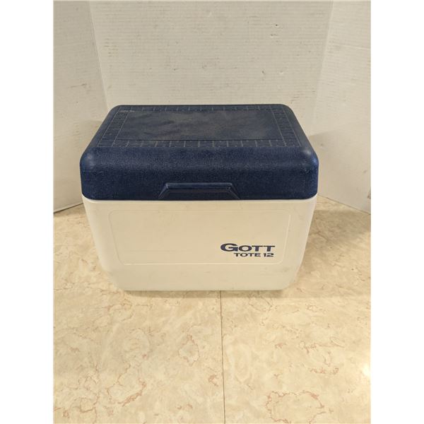 Mini cooler with ice pack