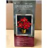 Image 2 : Holiday Time Vintage Fiber Optic Poinsettia Décor