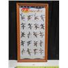 Image 1 : Ducks Unlimited Pictorial Duck Guide, Framed